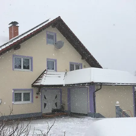 Haus Zeichner 2 *